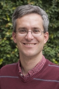 David Strubbe